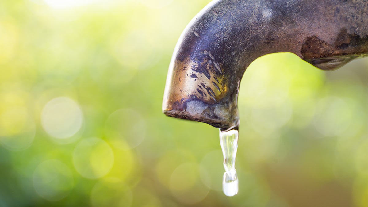 How to protect your psyche against the water crisis in the Western Cape